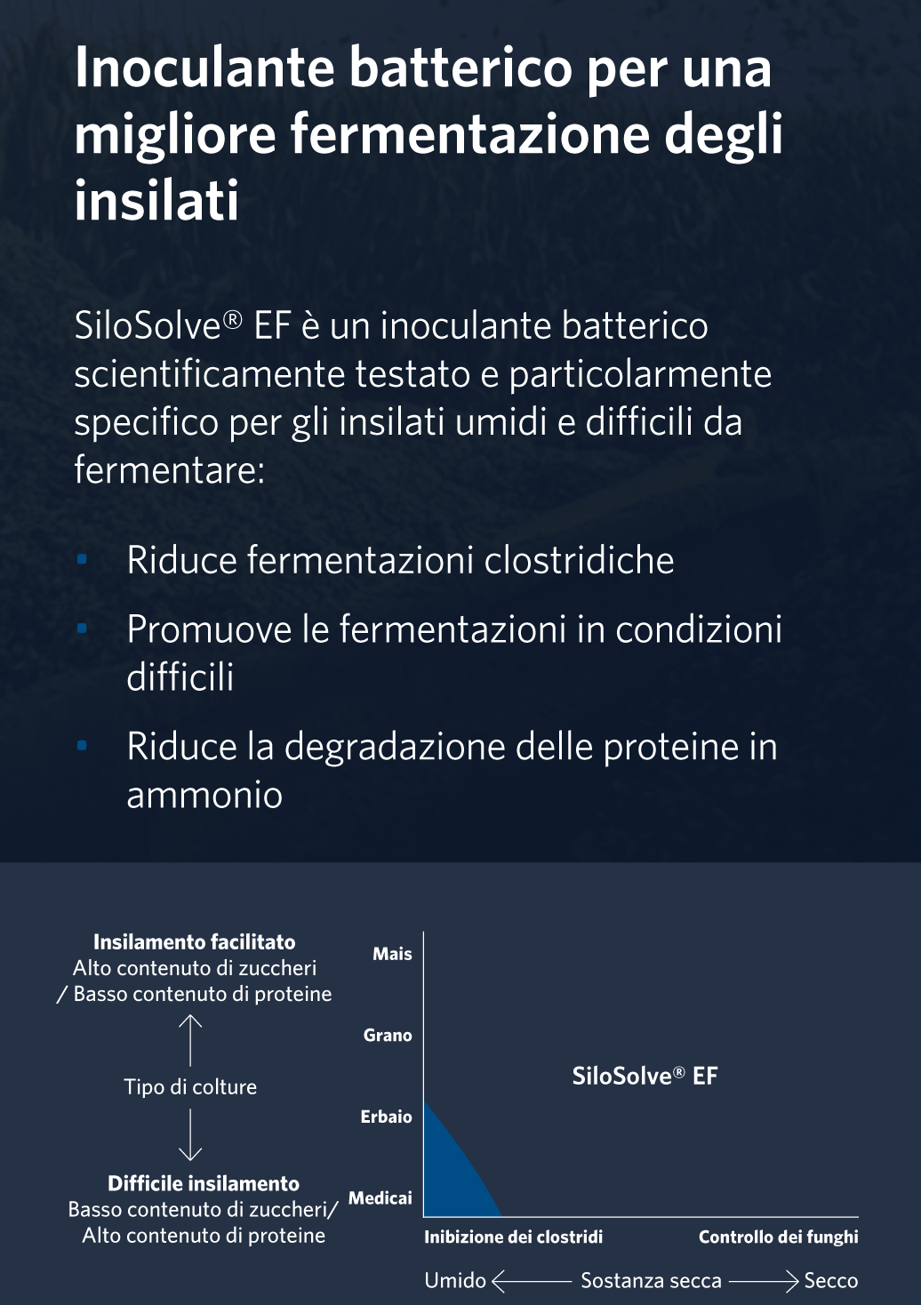 Schema Silosolve EF